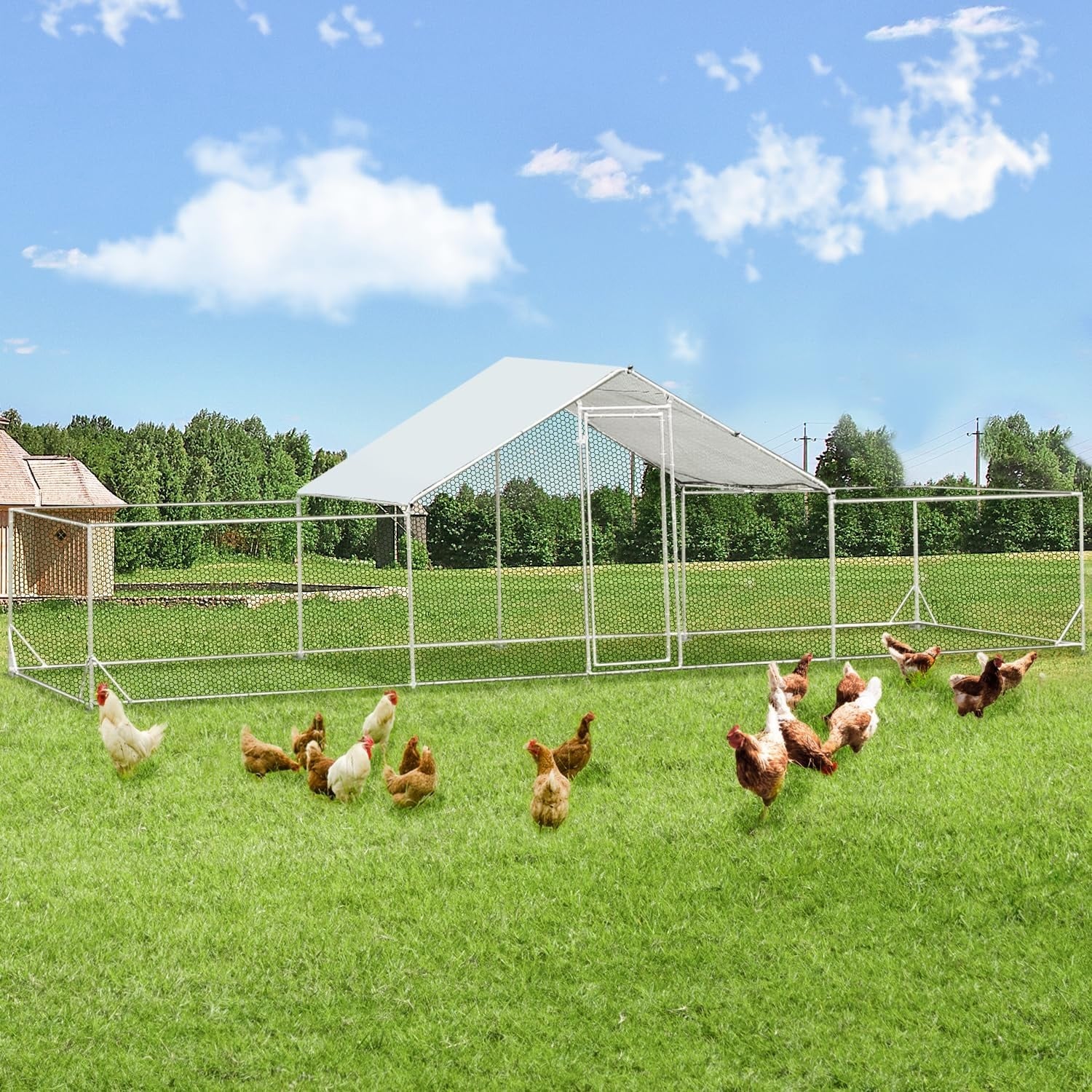 AECOJOY Grand poulailler en métal avec cage à poulets en métal