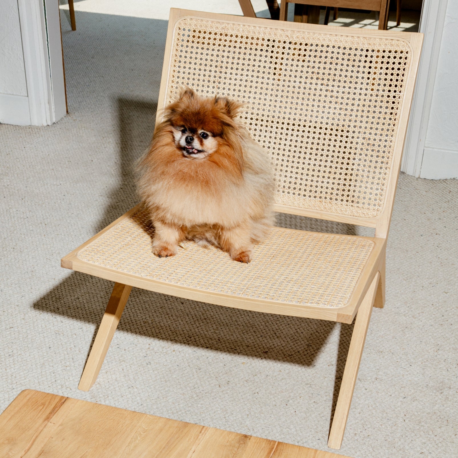 Fauteuil de salon Endless Summer, rotin naturel/frêne