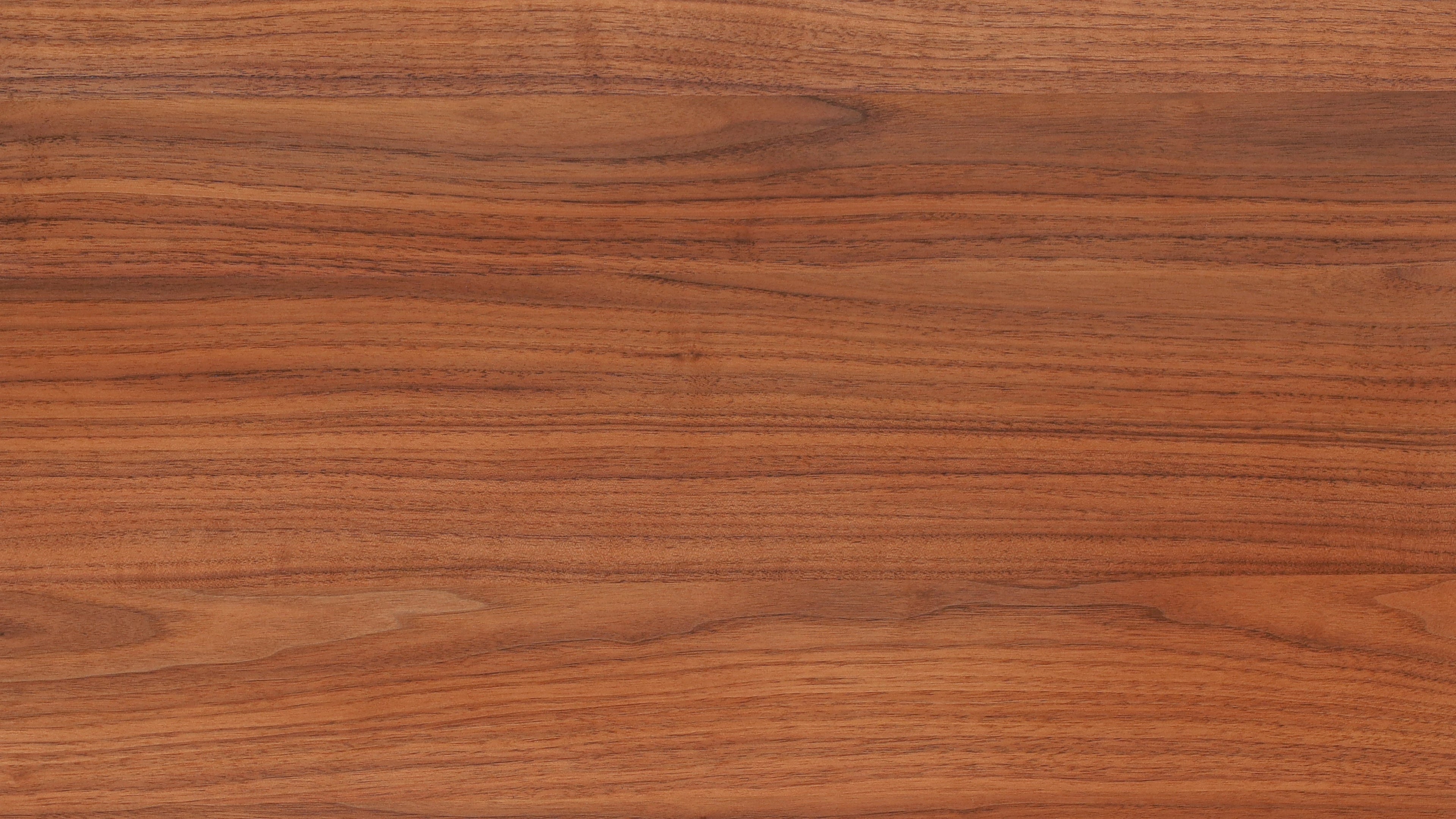 Table basse Align, modèle standard, noyer