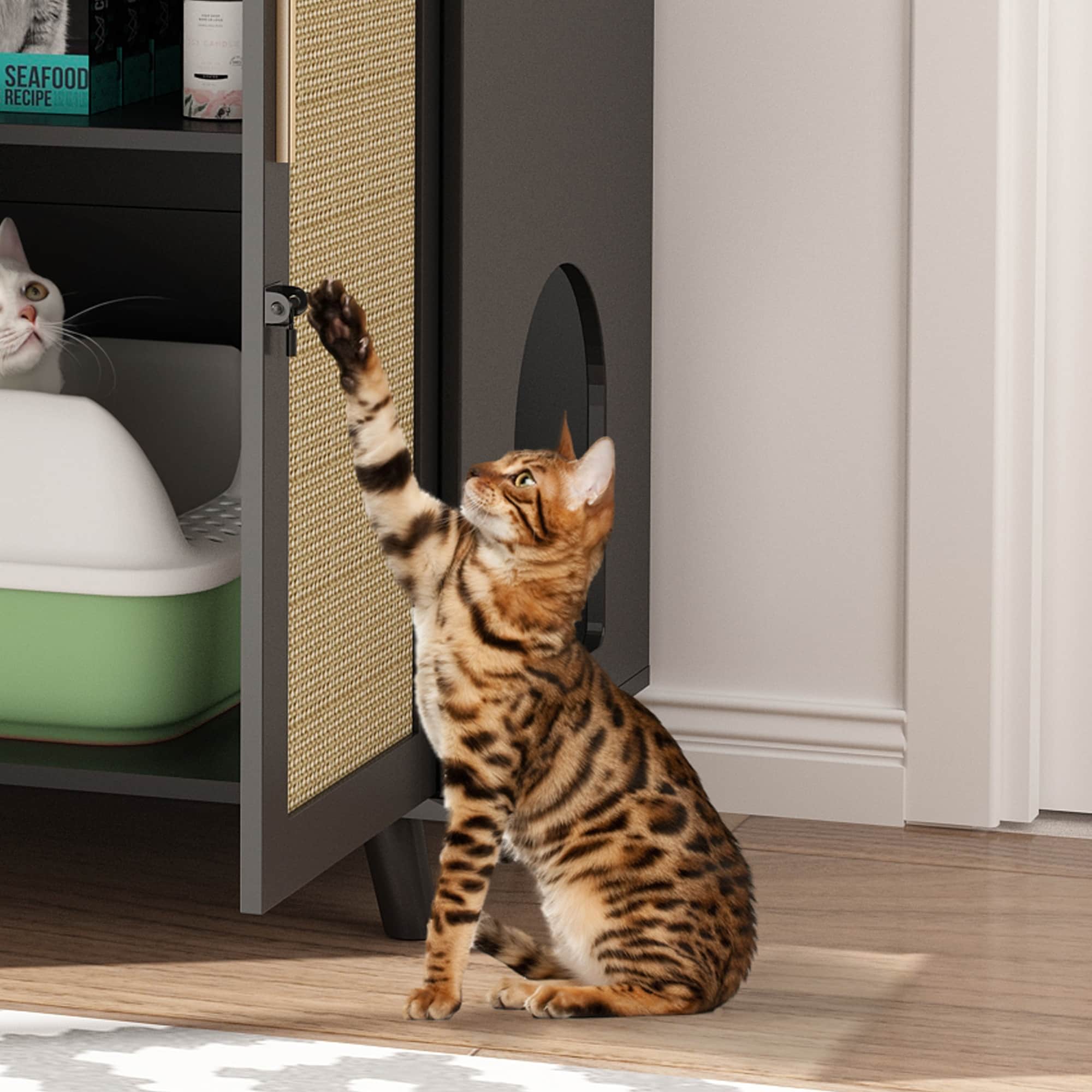 Bac à litière pour chat, maison pour chat, table d'appoint, porte, armoire, bibliothèque