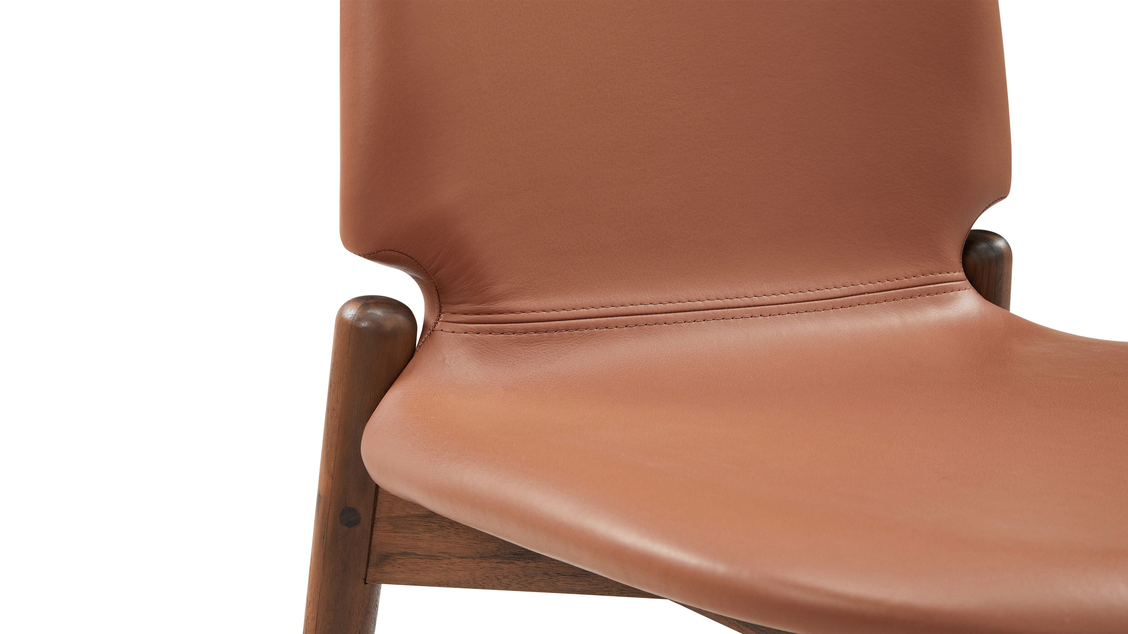 Chaises de salle à manger (lot de deux), noyer/pacan