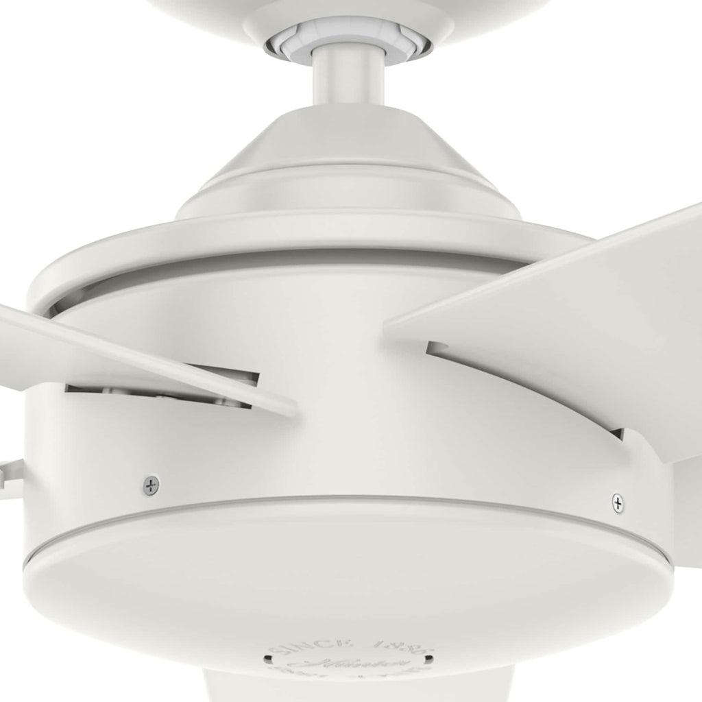 Ventilateur de plafond intérieur/extérieur Hunter 52 Shorebreak WeatherMax avec commande murale - Résistant aux intempéries, au sel et à la corrosion