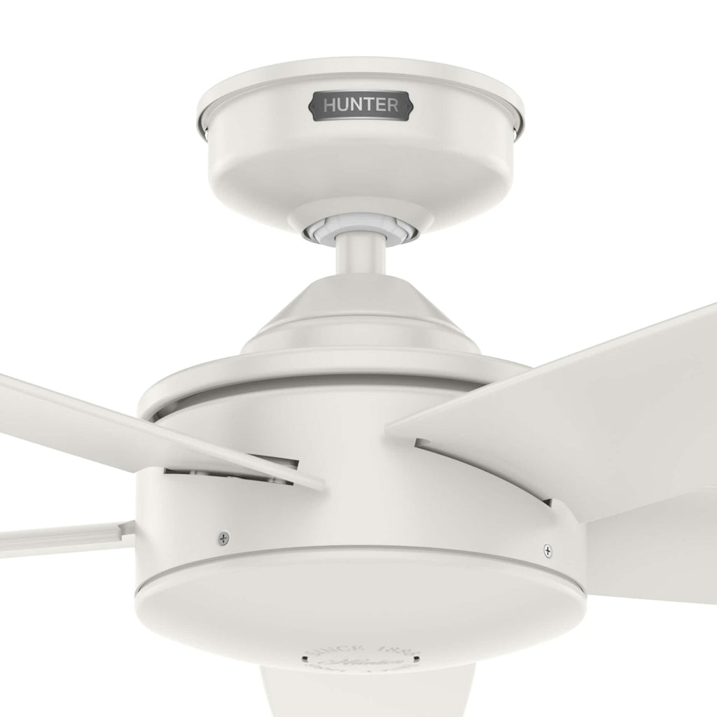 Ventilateur de plafond intérieur/extérieur Hunter 52 Shorebreak WeatherMax avec commande murale - Résistant aux intempéries, au sel et à la corrosion