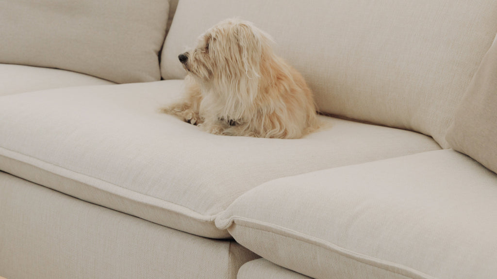 Canapé modulaire 2 pièces Chill Time, bouleau