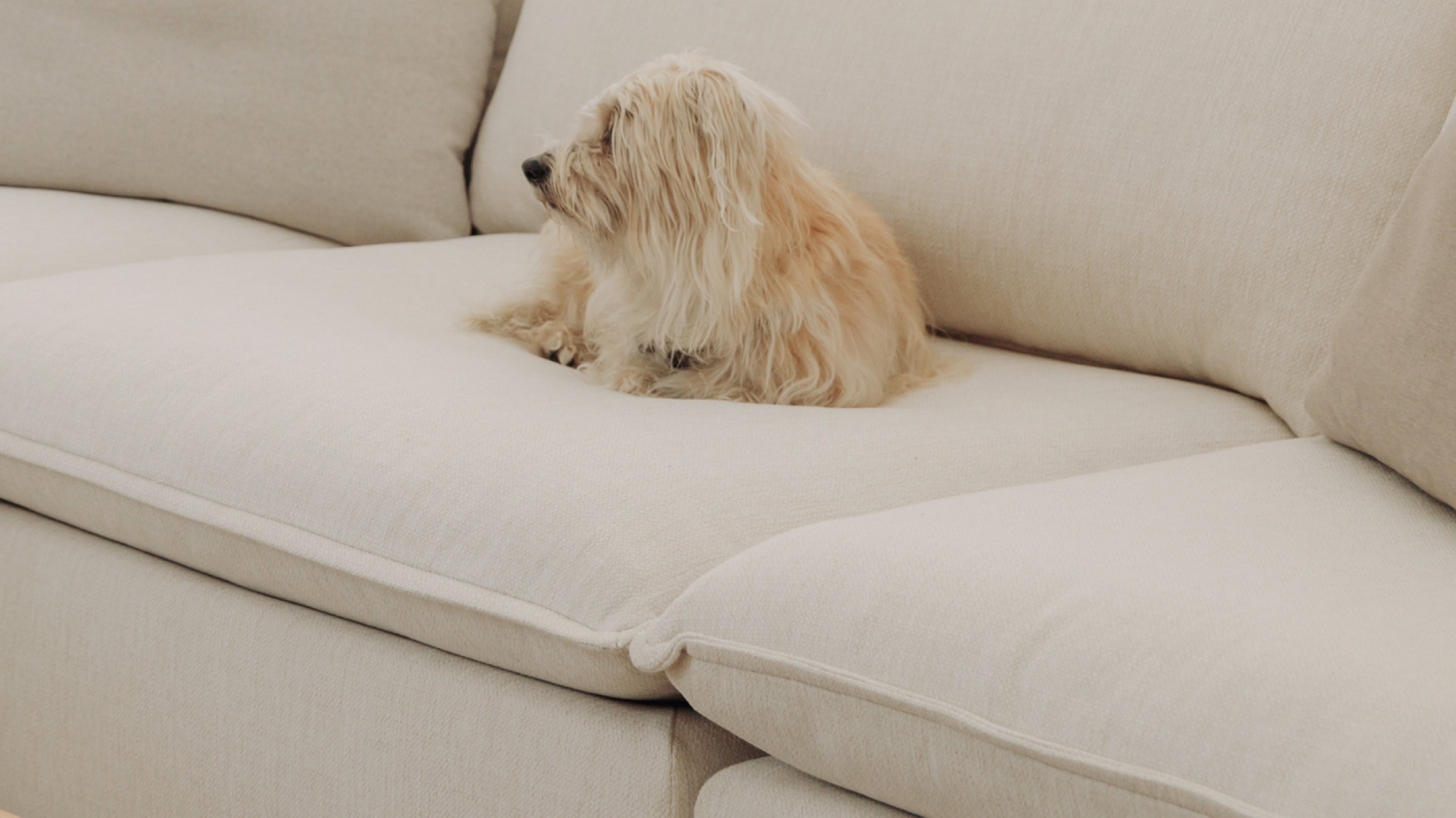 Canapé modulaire 2 pièces Chill Time, bouleau