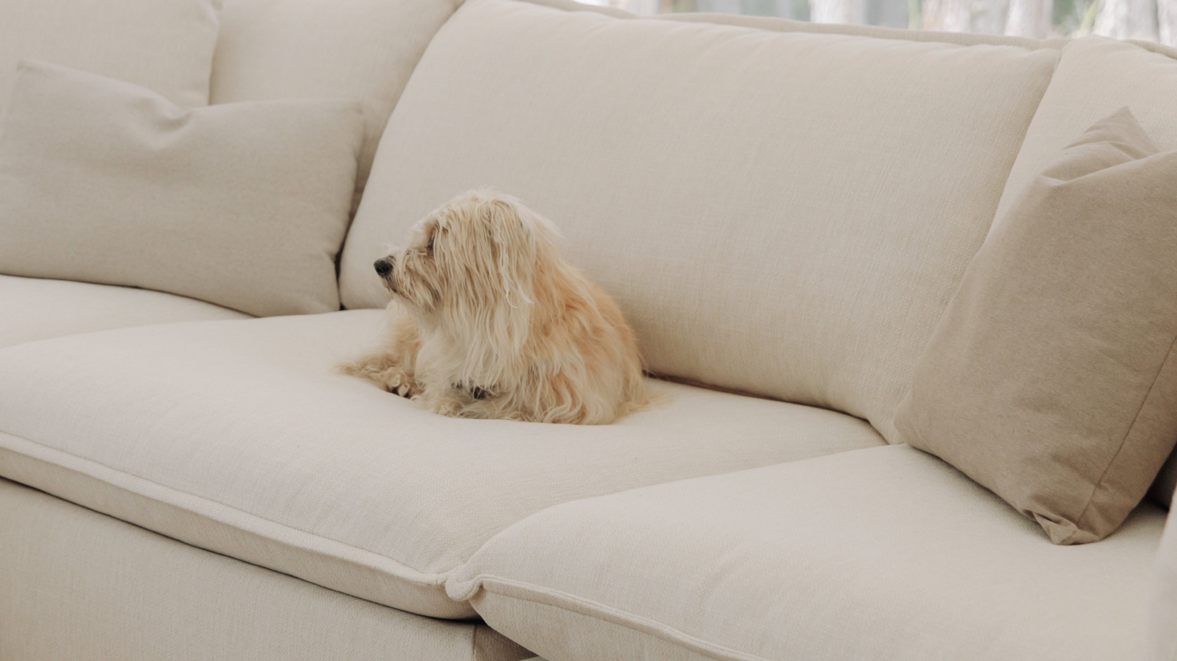 Canapé d'angle modulaire 4 pièces Chill Time, bouleau