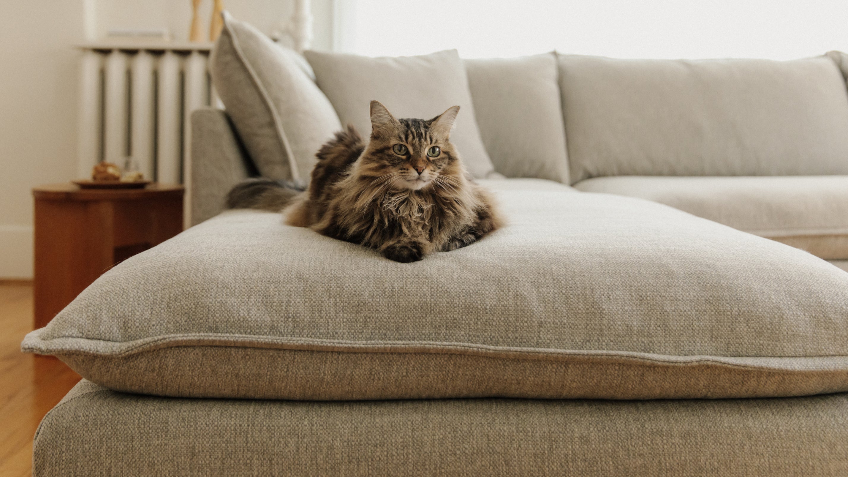 Canapé d'angle modulaire 4 pièces Chill Time, couleur bruyère