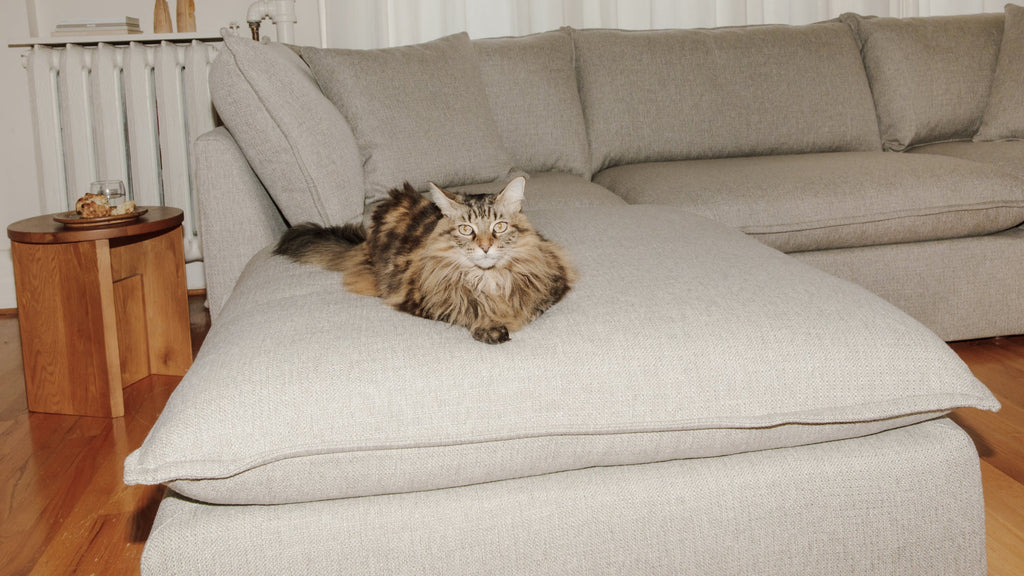 Canapé d'angle modulaire en U 5 pièces Chill Time, couleur bruyère