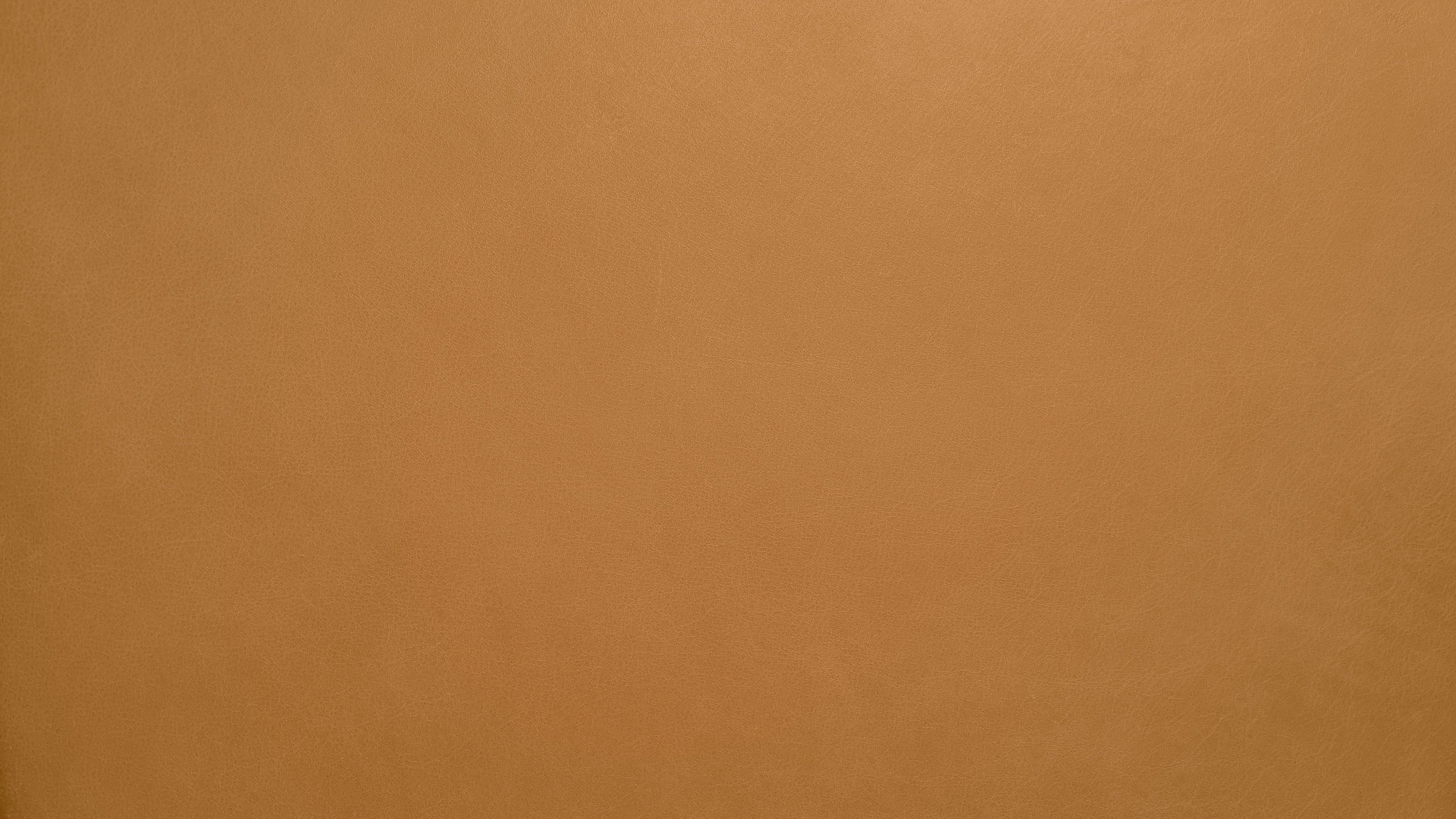 Canapé bas Lay, 2,5 places, beige doré